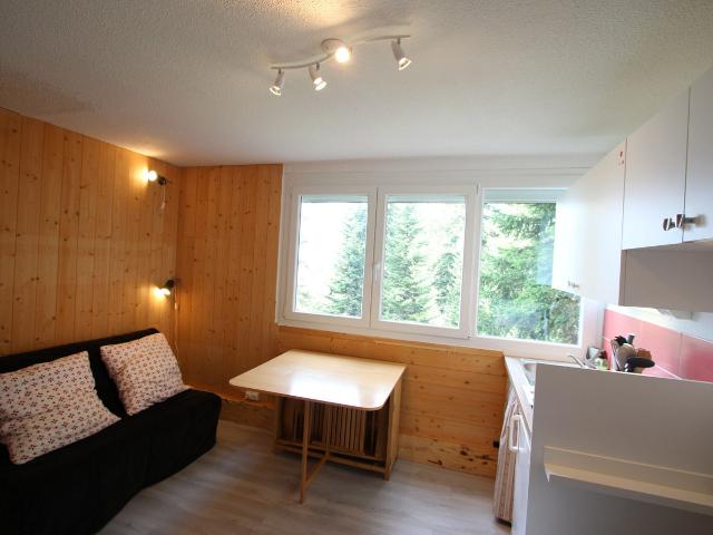 Très joli studio proches pistes - Chamrousse