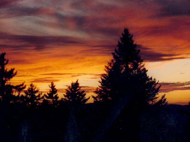 VIL. BACHAT EPICEAS - Chamrousse