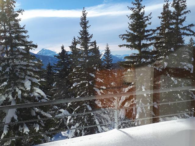 VIL. BACHAT EPICEAS - Chamrousse