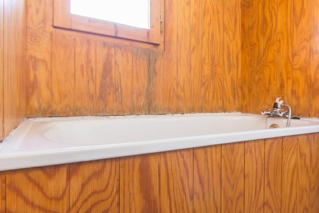 Appartements GENTIANES - Plagne Villages