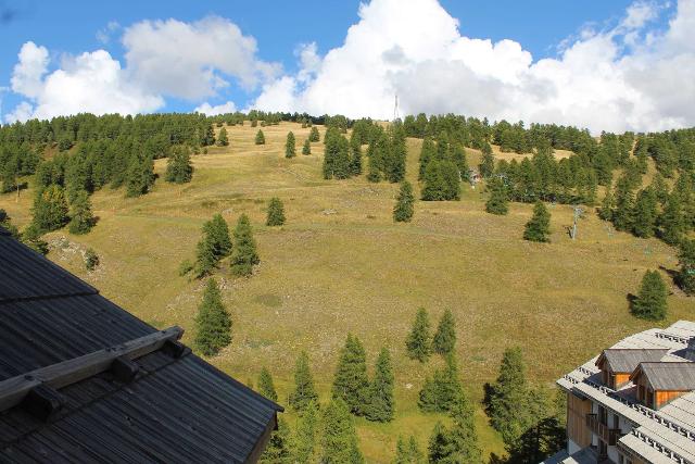 Chalets Des Rennes VRS570-B061 - Vars