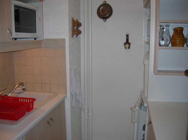 Pelvoux 45319 - Les Menuires Brelin