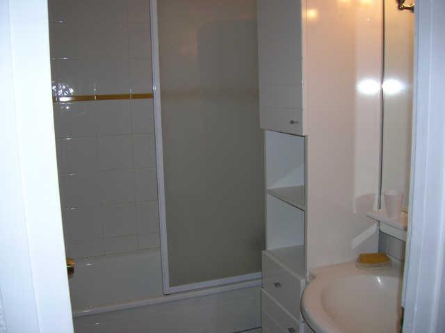 Pelvoux 45319 - Les Menuires Brelin