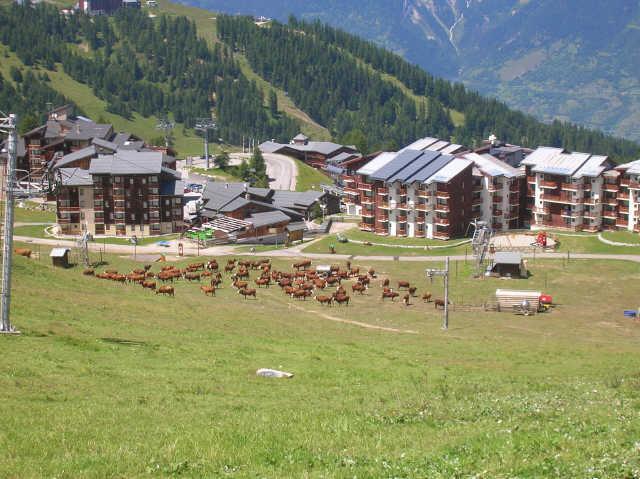 LE BELVEDERE 45410 - Plagne Villages