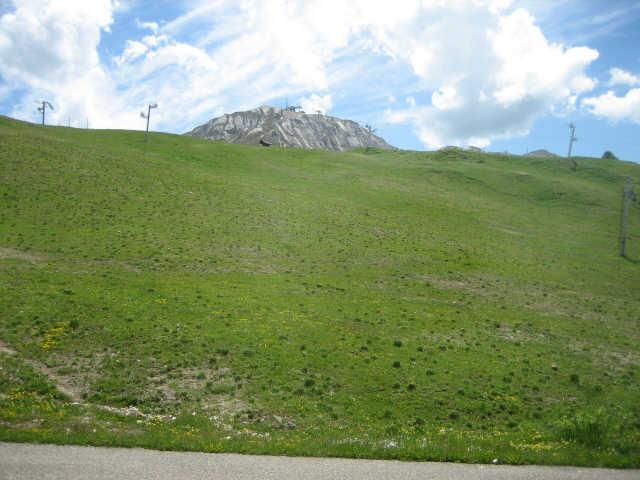 LE PERCE NEIGE 45483 - Plagne Villages