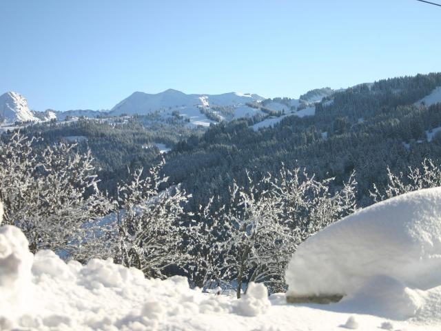 Apt avec Poêle à bois, grande terrasse privative dominant la vallée, navettes ski - Les Gets