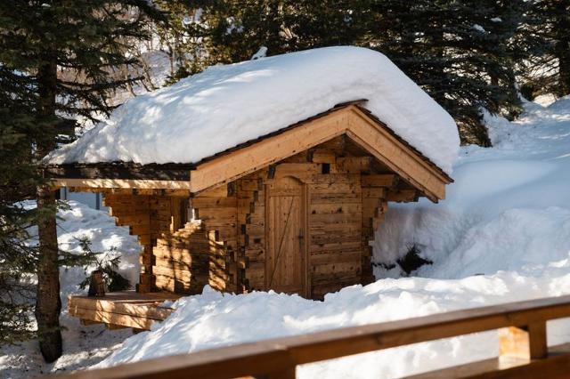 Chalet ALPANOU - La Clusaz