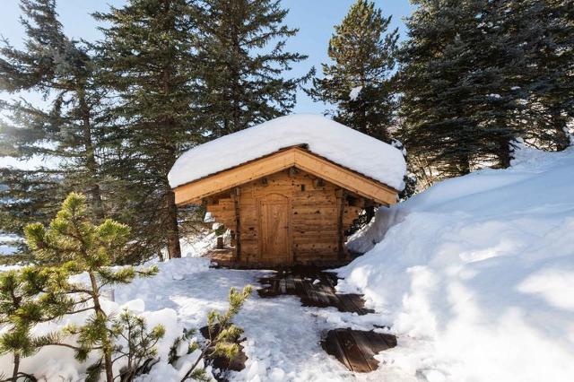 Chalet ALPANOU - La Clusaz