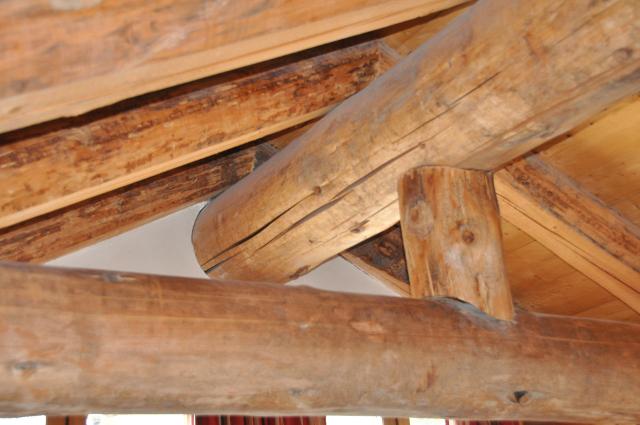 Appartements CORTINA 56000533 - Les Deux Alpes Venosc