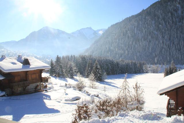 Chalet LES HAUTES CIMES - Châtel