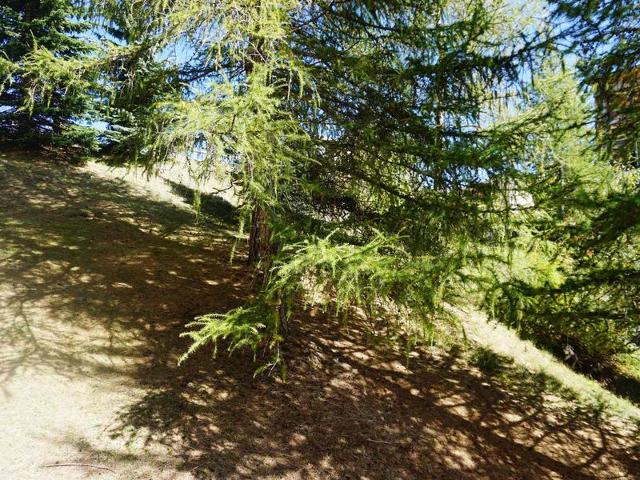 Studio cosy 27m² - 4 pers, au cœur de Merlette, proche pistes et commerces, animaux acceptés FR-1-63 - Orcières Merlette 1850