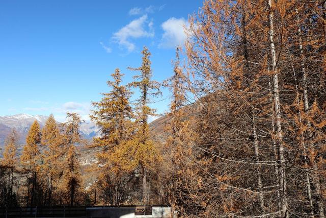 Appartement Le Silhourais 325 - Les Orres