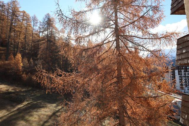 Appartement Le Silhourais 325 - Les Orres