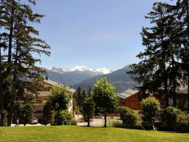 Appartement Appart-Hotel Helvetia Intergolf - Crans - Montana 