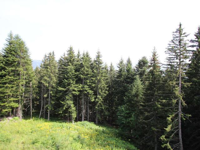 Coquet Studio - Chamrousse