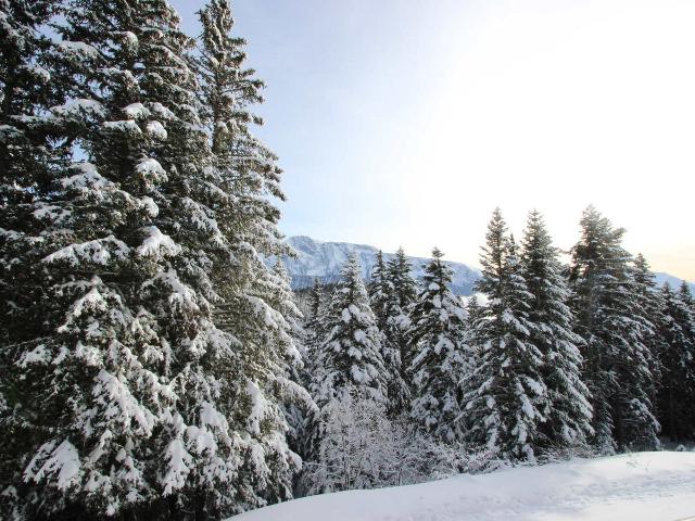 Appartement 3 pièces exposé SUD. - Chamrousse