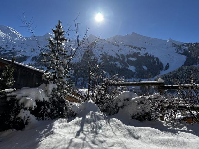 Chalet LA COMBE DU FERNUY - La Clusaz