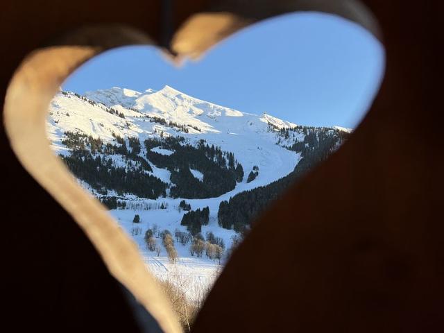 Chalet LA COMBE DU FERNUY - La Clusaz