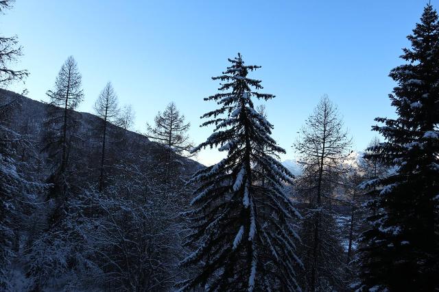 Appartement Le Meale 365 - Les Orres