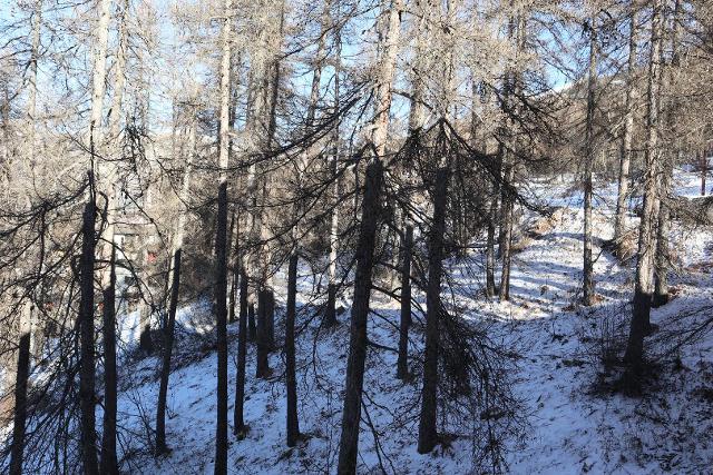 Appartement Le Perescuelle 436 - Les Orres