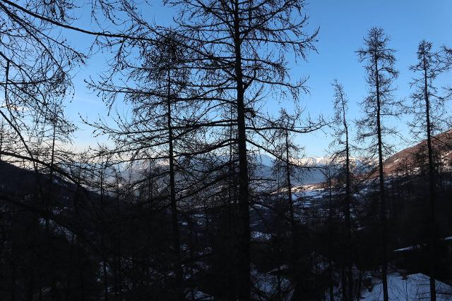 Appartement Le Belvedere 311 - Les Orres