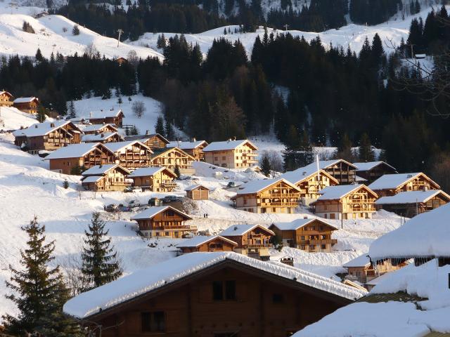 Appartement Dryade 301 - Le Grand Bornand