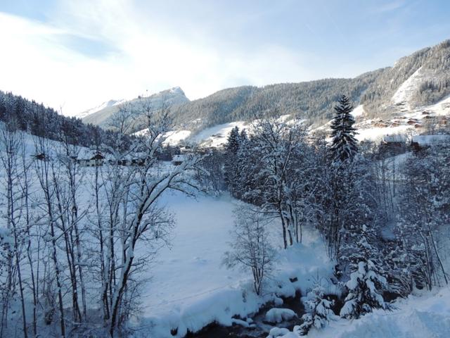 Appartement Tardevant 001 - Le Grand Bornand