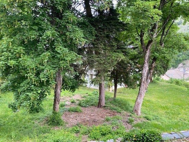 Appartements CLOS DU BOIS JOLI - Brides les Bains