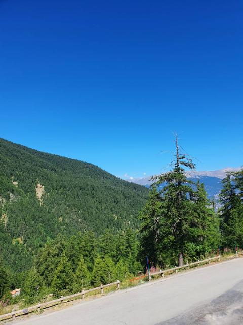 Appartement Les Mélèzes D'or MZ2206 - Les Orres