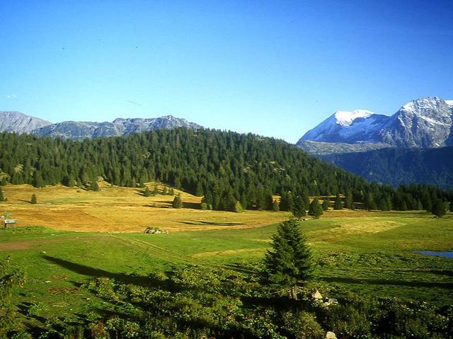 Studio Chamrousse, 1 pièce, 3 personnes - Chamrousse