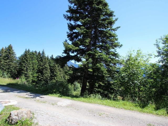 Appartement agréable, 3 coins nuit - Chamrousse