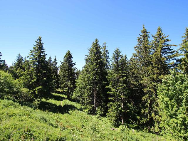 Appartement Chamrousse, 3 pièces, 6 personnes - Chamrousse