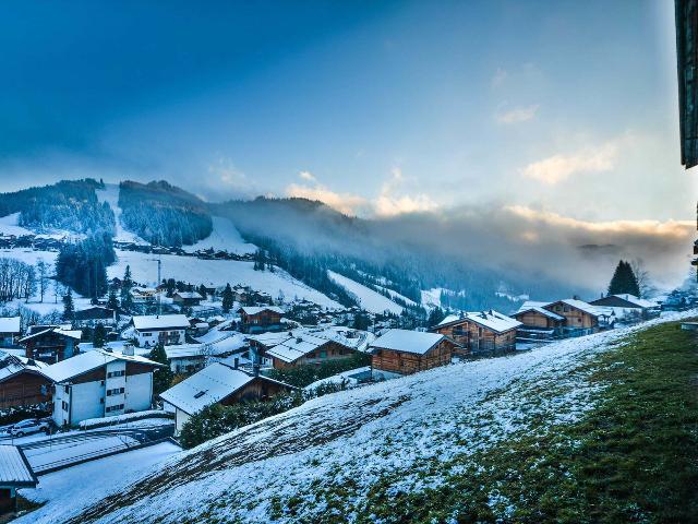 Bouillandire A- 5Pers- T3 Moderne avec accès par télécabine - Les Gets