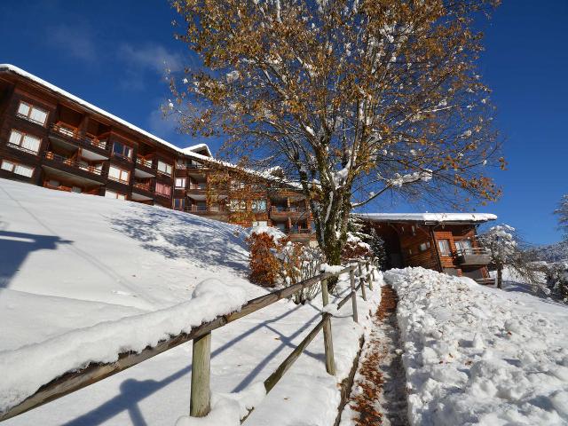 Bouillandire A- 5Pers- T3 Moderne avec accès par télécabine - Les Gets