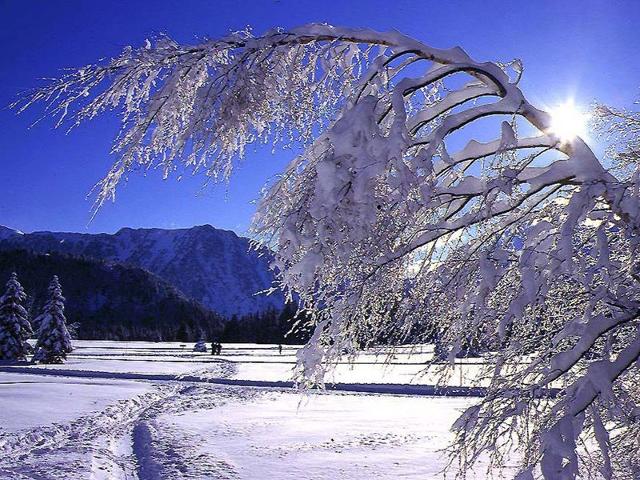 Résidence LES MYRTILLES - Chamrousse