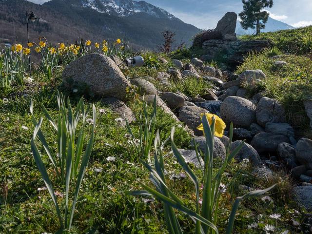 Appartement Saint-Lary-Soulan, 4 pièces, 10 personnes - Saint Lary Soulan