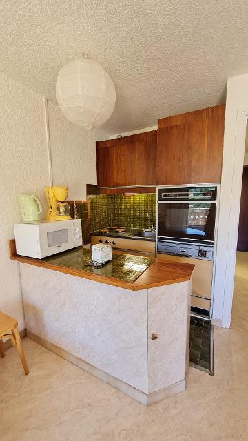 Appartements GIOBERNEY 56000883 - Les Deux Alpes Centre