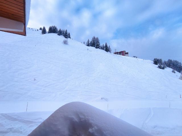 Appartements KILIMANDJARO - Plagne Centre