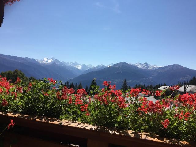 Appartement Orana - Crans - Montana