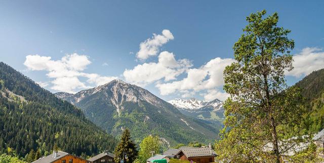 Appartements LE GRAND BOUQUETIN - Plagne - Champagny en Vanoise