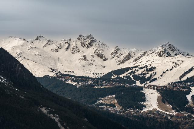 Appartements LE GRAND BOUQUETIN - Plagne - Champagny en Vanoise