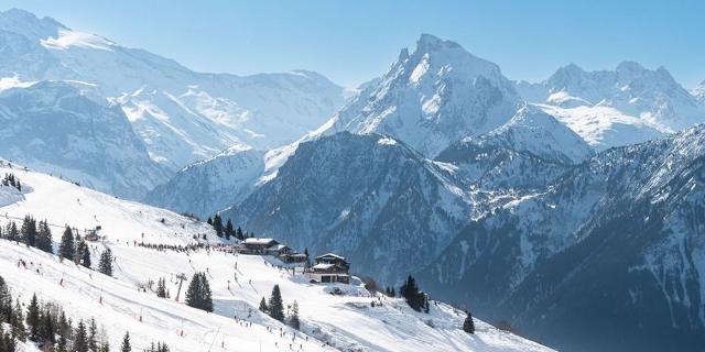 Appartements LE GRAND BOUQUETIN - Plagne - Champagny en Vanoise