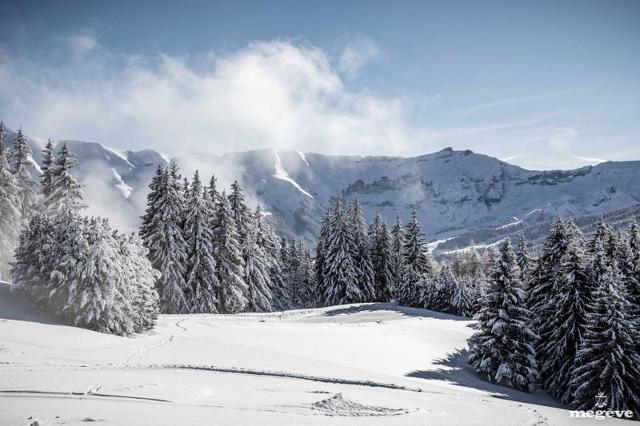 Appartements SILVER LODGE - B - Megève