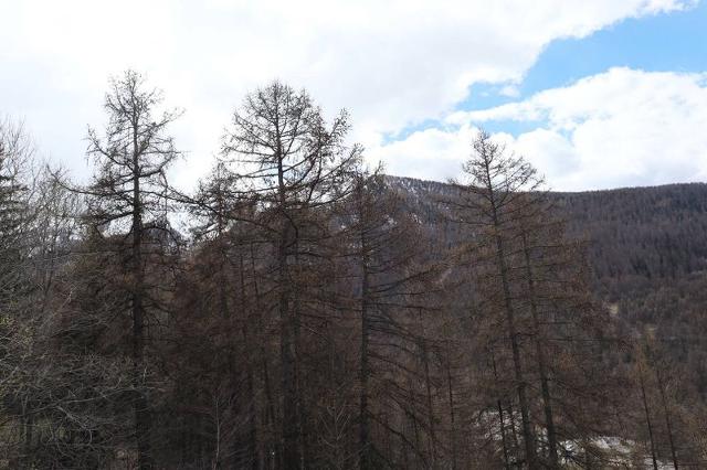 Appartement Les Myosotis 440 - Les Orres