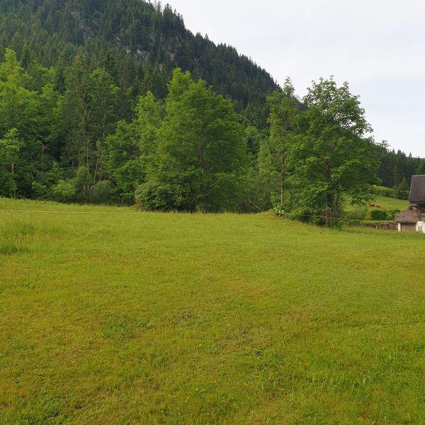 Résidence les AVENIERES - Châtel