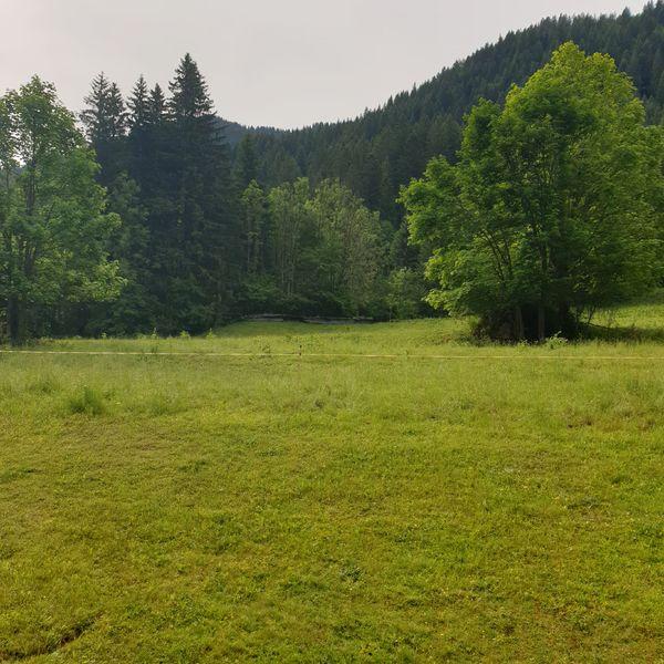 Résidence les AVENIERES - Châtel