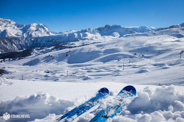 Appartements RESIDENCE LE GRAND BOIS B - La Tania