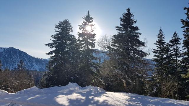 Appartement V du Bachat Arolles A N°03 - 2P4 - Chamrousse