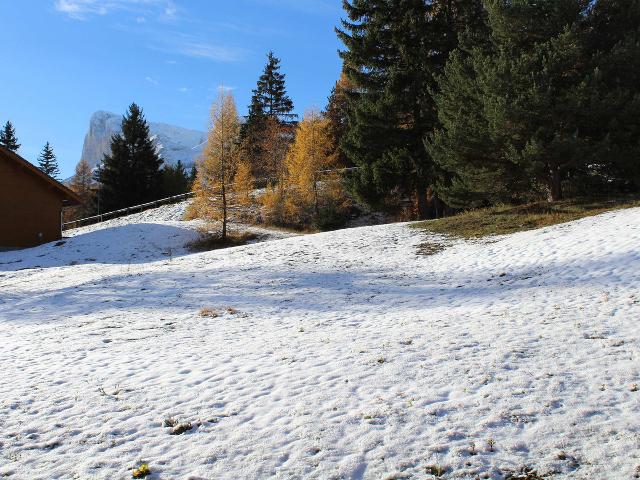 Chalet Le Dévoluy, 4 pièces, 8 personnes - Superdévoluy