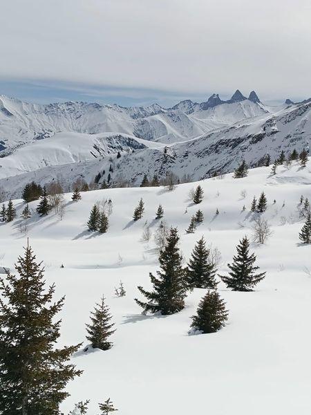 Studio Les Ecureuils B N°11 - ST3 - Saint Sorlin d'Arves